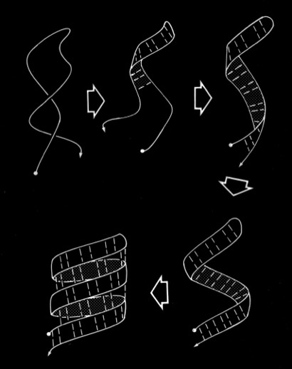 Stacks Image 4242